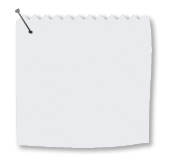 Unicolour White